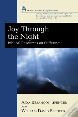 Capa do artigo Joy Through The Night