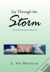 Capa do artigo Joy Through The Storm