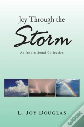 Capa do artigo Joy Through The Storm
