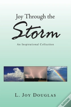 Capa do artigo Joy Through The Storm