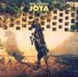 Joya - CD - Preview