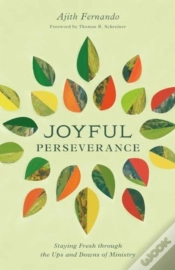 Capa do artigo Joyful Perseverance