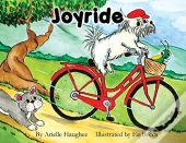Joyride