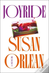 Capa do artigo Joyride
