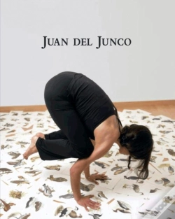 Capa do artigo Juan Del Junco
