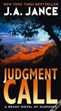 Capa do artigo Judgment Call
