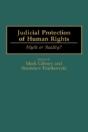 Judicial Protection Of Human Rights - Preview
