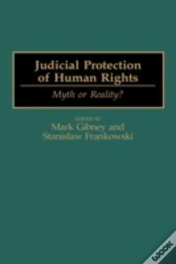 Capa do artigo Judicial Protection Of Human Rights