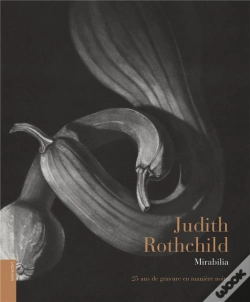 Capa do artigo Judith Rothchild : Mirabilia