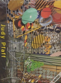 Capa do artigo Judy Pfaff