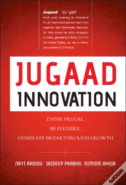 Capa do artigo Jugaad Innovation