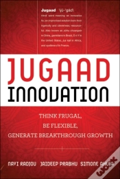 Capa do artigo Jugaad Innovation