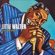 Capa do artigo Juke Joint Blues - CD