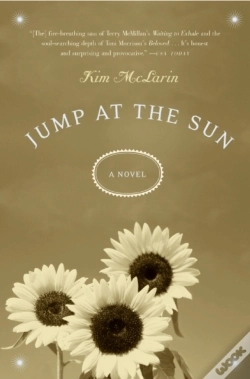 Capa do artigo Jump At The Sun