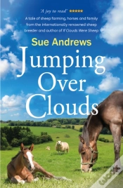 Capa do artigo Jumping Over Clouds