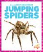 Jumping Spiders - Preview