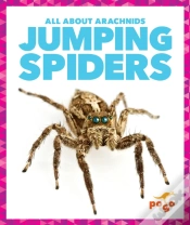 Capa do artigo Jumping Spiders