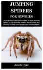 Jumping Spiders For Newbies - Preview