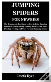Jumping Spiders For Newbies