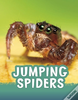 Capa do artigo Jumping Spiders