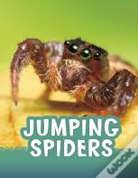 Jumping Spiders