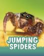 Jumping Spiders - Preview