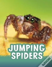 Capa do artigo Jumping Spiders
