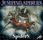 Jumping Spiders - Preview
