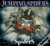 Capa do artigo Jumping Spiders