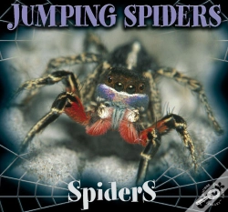 Capa do artigo Jumping Spiders