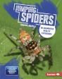 Jumping Spiders - Preview