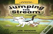 Jumping The Stream