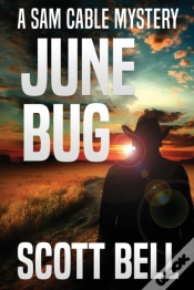 Capa do artigo June Bug