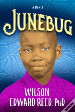 Capa do artigo Junebug