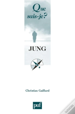 Capa do artigo Jung