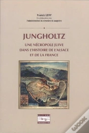 Capa do artigo Jungholtz