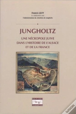 Capa do artigo Jungholtz