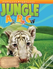 Capa do artigo Jungle Abc