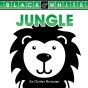 Jungle - Preview