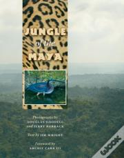 Jungle Of The Maya