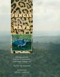 Jungle Of The Maya - Preview