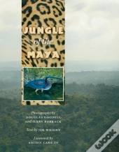 Jungle Of The Maya