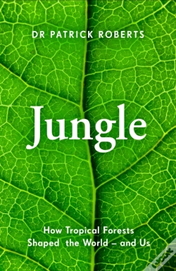 Capa do artigo Jungle