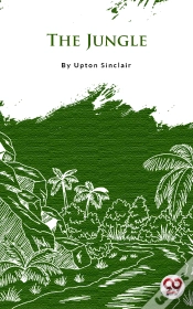 Capa do artigo Jungle