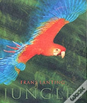 Capa do artigo Jungles