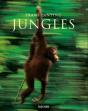 Jungles - Preview
