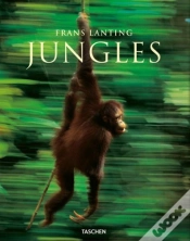 Capa do artigo Jungles