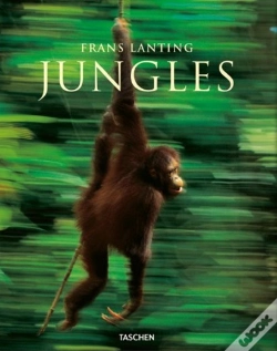 Capa do artigo Jungles