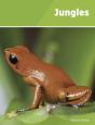 Jungles - Preview