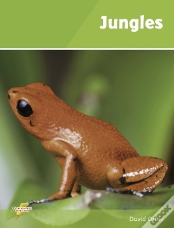 Capa do artigo Jungles